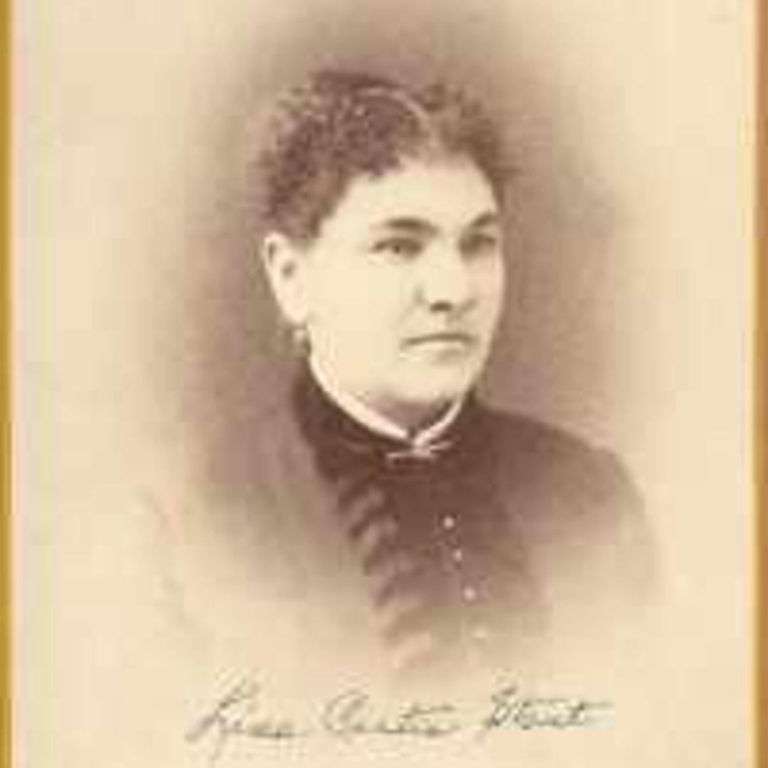 Selina Curtis (1852 - 1913) Profile